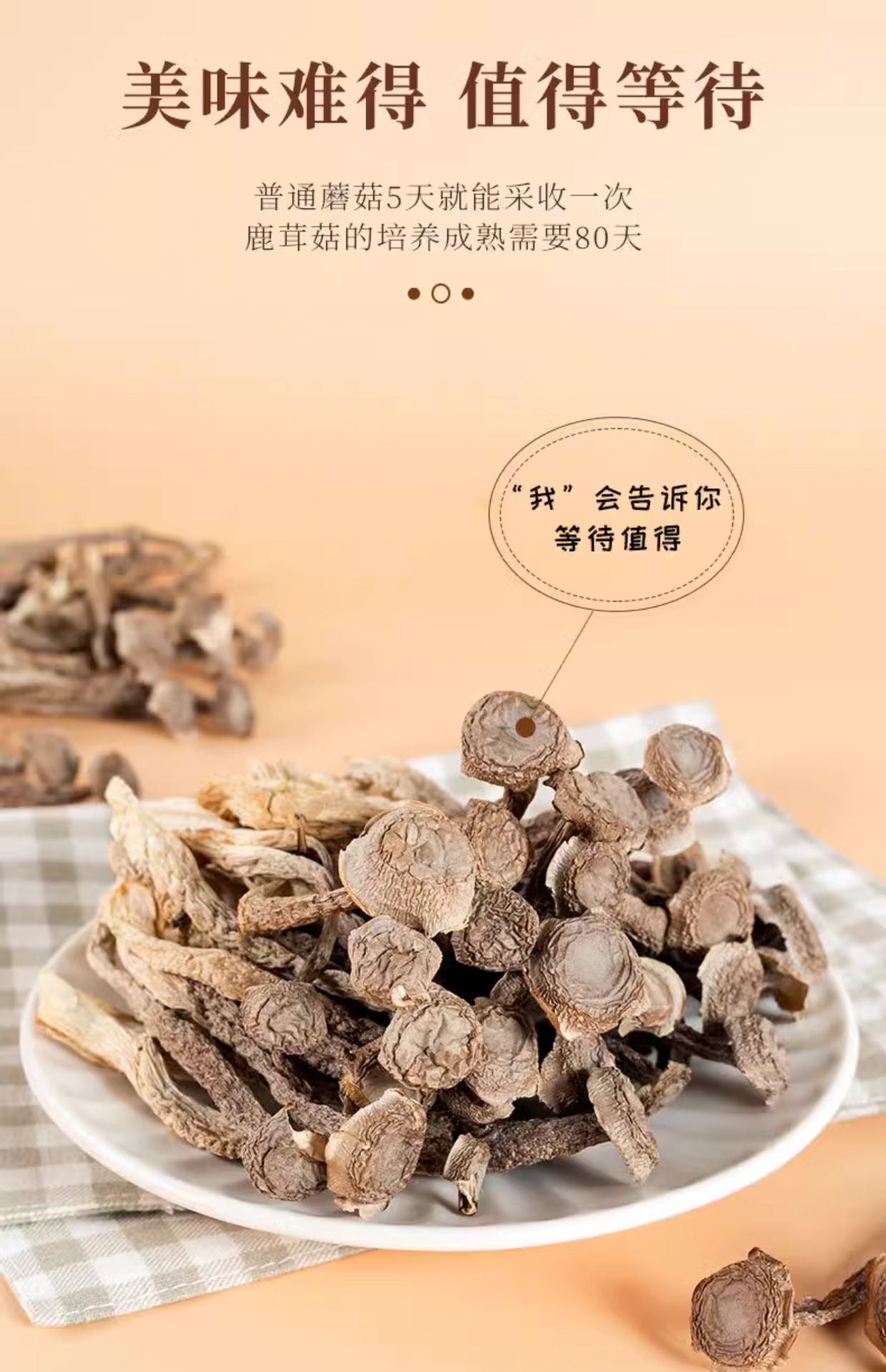 Dried Lyophyllum decastes Broken Pieces Lu Rong Gu Mushroom for Soup and Stir Fry 1000g Net Weight in use