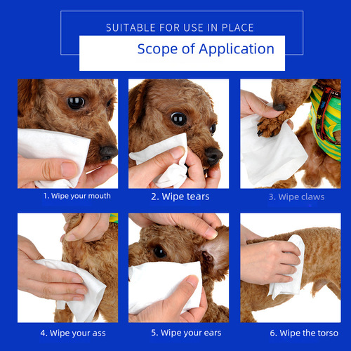 Alice Pet Wet Wipes 80 Pumps Teddy Golden Retriever Dog Wet Wipes Cat Wet Wipes