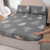 Feather notes