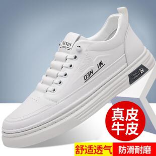 2210�̄�ЬС��Ь�r�����eƤЬ3844P78