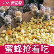 蜜蜂花粉 蜜蜂花粉品牌 图片 价格 蜜蜂花粉批发 阿里巴巴