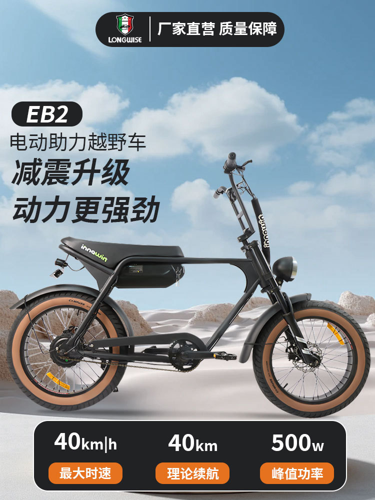 Bicicleta de nieve transfronteriza de 20 pulgadas de doble cubo con neumáticos anchos para transporte de carretera bicicleta eléctrica de montaña eléctrica