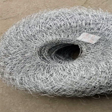 �F؛���������W��ľ���԰����F�z�W������o�W�F�z�W�����a�S��