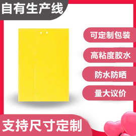 黄板双面粘虫板诱虫板贴纸灭小飞虫沾果蝇诱捕器果园蚊子苍蝇大棚