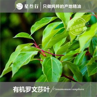 �ЙC�_��ɯ�~�η������R�_��˹�Ӯa�ط����o���{����޹����ԭ��