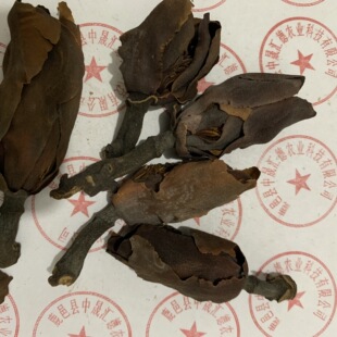 ��ɺ��ӻ� ���a����؛���ӻ��{�������ӻ���ľ�m�Ŀɴ�����