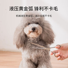 Pet dog grooming scissors, professional hair trimming set, curved scissors, tooth scissors, Teddy self-cut dog hair tools wholesale