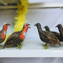 ���񼦶���ģ�Ͷ�ë��Ʒ�ֹ�����Ʒ��ѧ��ʾ��������װ�ΰڼ�