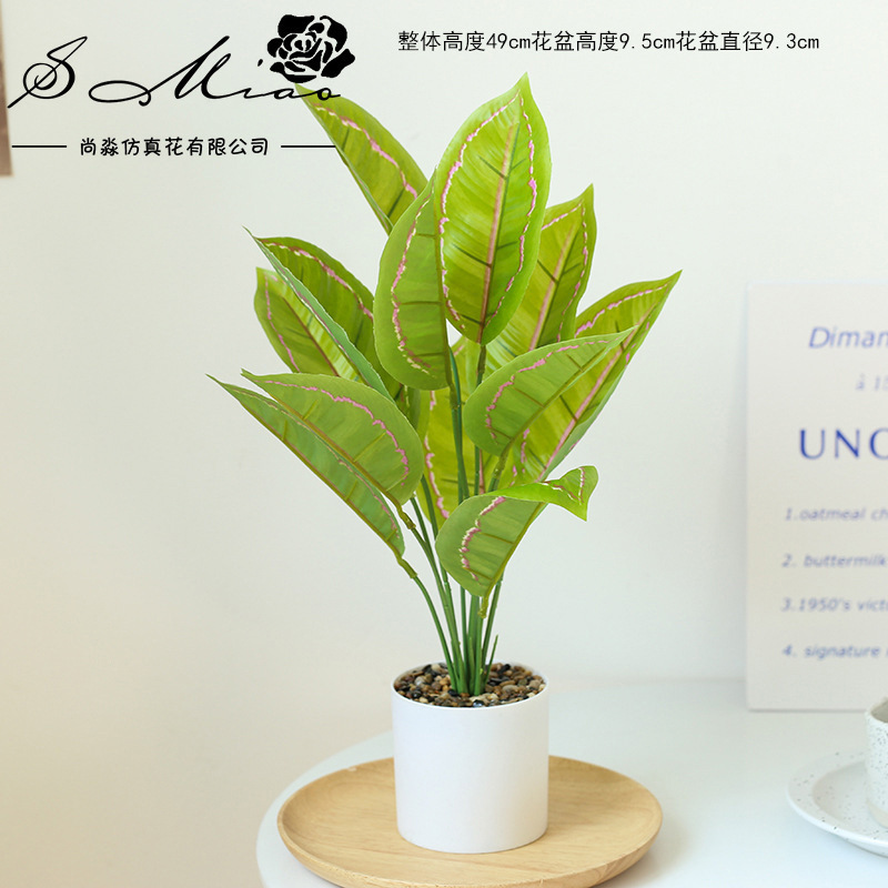 225158 Planta verde en maceta ☆