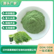 现货供应小麦苗粉 固体饮料原料 食品级小麦苗汁粉 100g/袋 批发
