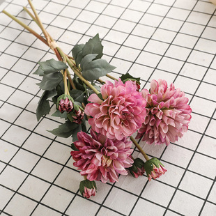 �Wʽ�͹ŷ��������ɫ�ٻ� �͏d�ҾӔ[�����������ͮ������ջ���