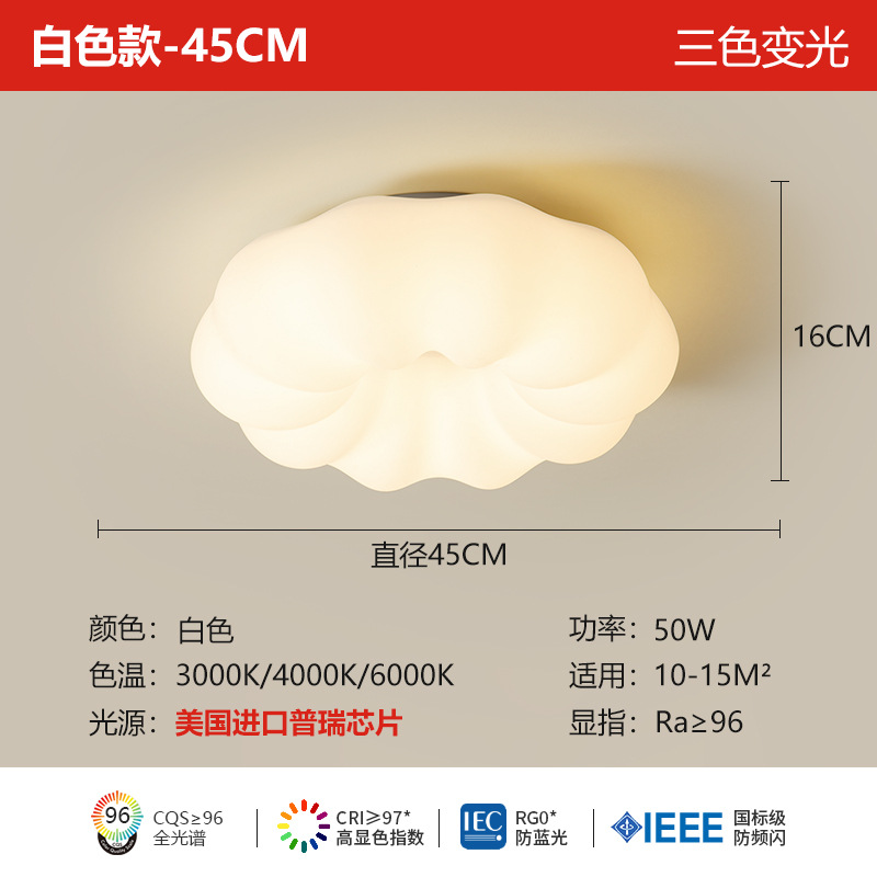 Purui 눈 보호 램프 천장형 45cm
