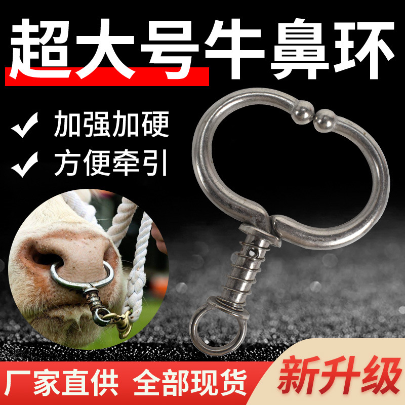 Anillo de nariz de buey, anillo de nariz de buey, acero inoxidable, metal, alicates de nariz de buey, resorte sin perforación, anillo de nariz de buey