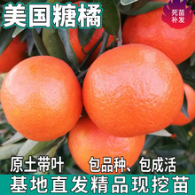 һ�����l ��������ϱ������Լ޽����ԟo�����o�t���Ӹ��٘���