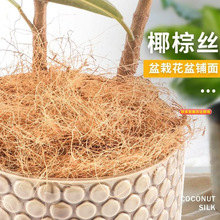 ӡ���M���b�Ҭ�z500g���Ի���������͸�Ᵽ����䁉|��Ҭ�ؽz