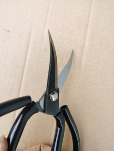 ��̼䓴�̖�˵���6̖�������ü����I�ü�S��ֱ�N����ă�