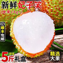 ��������Ц��֦���r5��ˮ������������]�����ǹ�����֦�����l