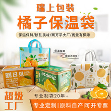 大容量冰包柑橘粑粑柑水果保鲜包装袋明日见杂柑保温袋冰块国潮