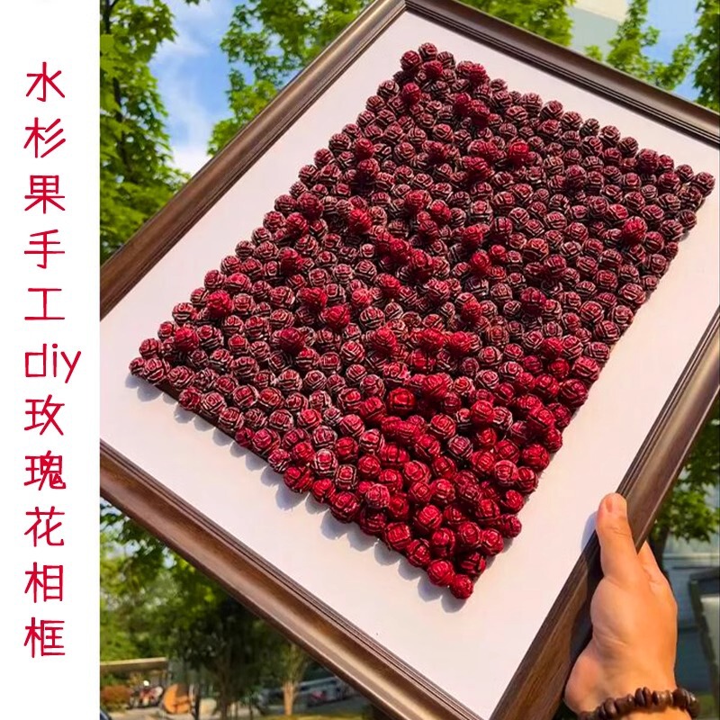 Metasequoia Fruit Decorative Photo Frame Dried Flower Handmade Rose Seed Specimen DIY Storage Picture Photo Frame Douyin Same Style