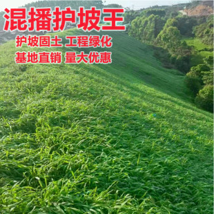 ��ƺ�����ļ���������ݸ���é���o�¹����ͺ����޼��ͲȾG���ݷN