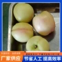 蒸汽速冻自动水蜜桃去皮机