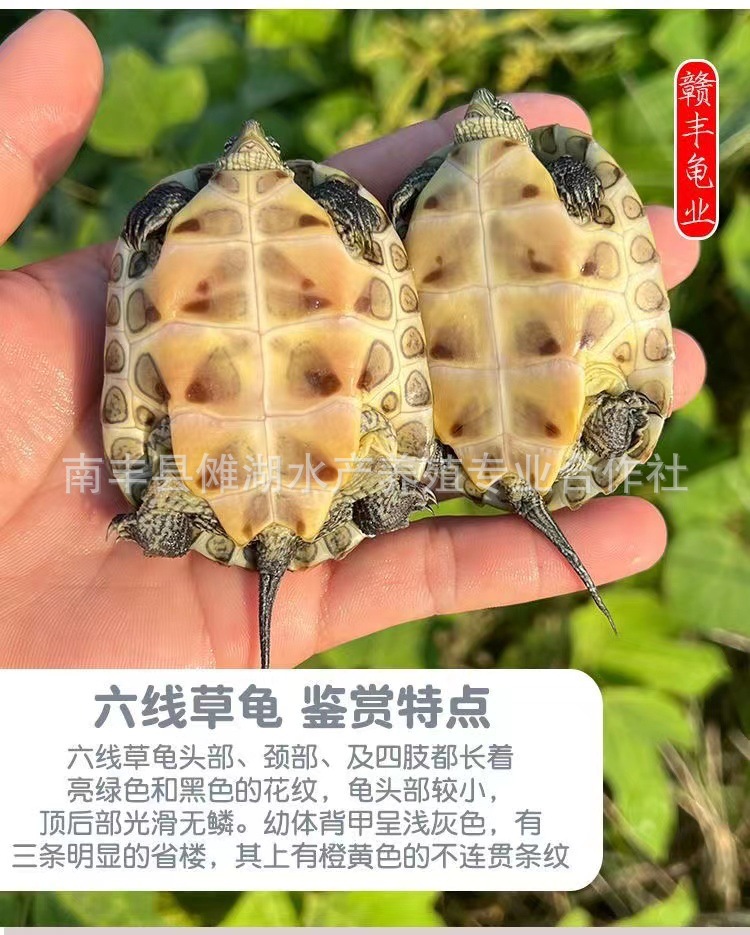 微信图片_20221104125830