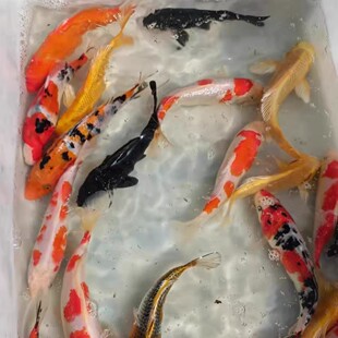 С���~���^�p�~��ˮ�ͻ���B�~��ˮ�t���\�����~С���~�ݽ��~���~