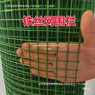 Green Mesh Welded Wire Mesh Wire Fence Breeding Mesh Chicken Mesh Dutch Mesh Wire Mesh Protection Mesh Vegetable Garden Fruit
