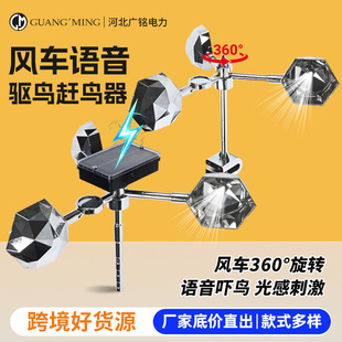 �L����B���羳�� �s�B�����¿��L��������B�����������B��