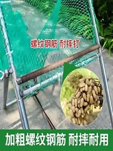 ժ¿ÓûxCքӻˤCժˤ