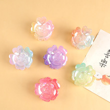 �¿����Ųʳ���õ�廨�l�A�߼���ץ�AŮ�����̖���~�A�l�����l