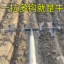 �_������{�����������_���z�����z�N��С���z�Ӻ��i����h�����z