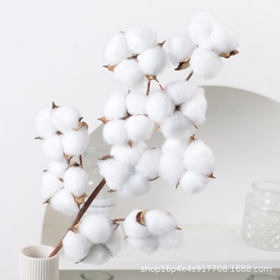 ���l���滨�޻���Ȼ�ɻ���c�ҾӔ[�������b�10�^��֧ľ�޻�