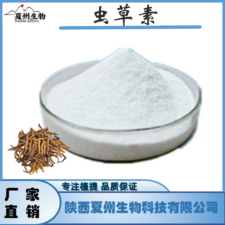 虫草素 1/3/5/7/98% 蛹虫草提取物 73-03-0 蛹虫草粉