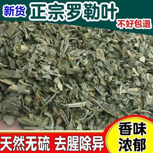 �_���~��50��ɢ�b���}��basilʳ����������ݰ�������{����؛��