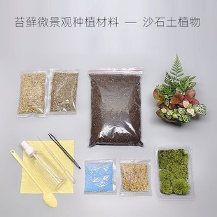��΢���^���� diyֲ������ ̦�\ƿ �˚�Gֲ�k����С���r�M19���]