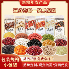 ��؛������s�ZС���b���{ԭ���������ȫ�I�B�M���s�Z���l