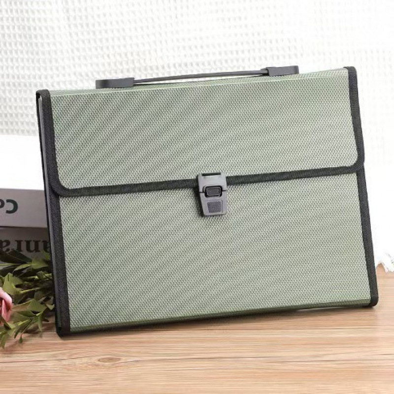 Custom Large-Capacity Transparent Simple Organizer File Fold