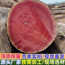 红椿木 红椿原木板材 海棠木烘干板材 古建园林寺庙材家具材料