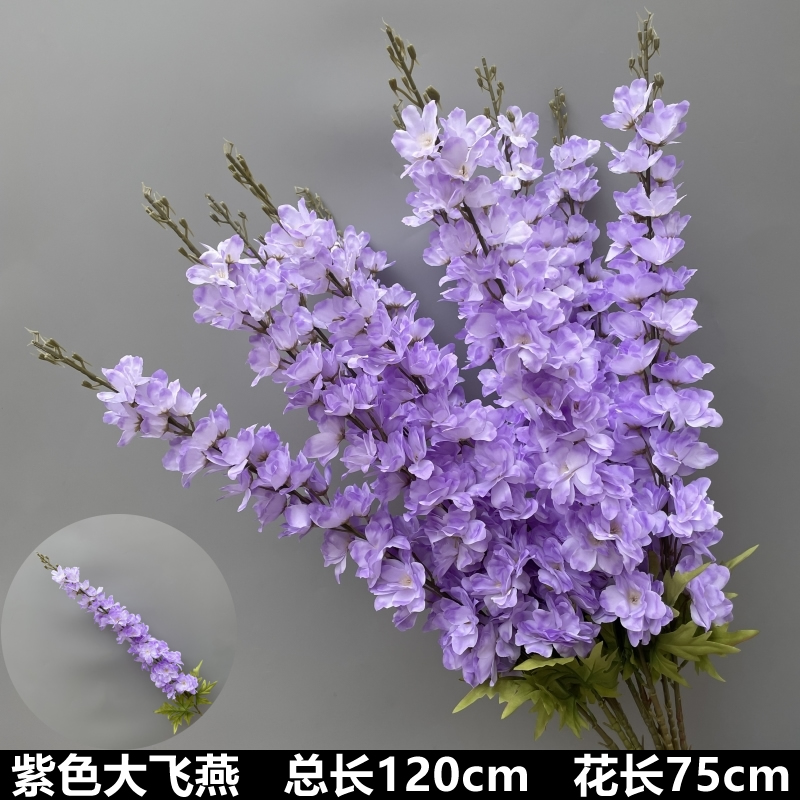 보라색 비행 제비