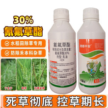 �����ƽ��30%�������ˮ�������݄��޲�ǧ�����R�ƺ̱����s��