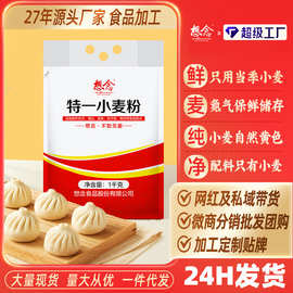 想念特一小麦粉2斤装家用面粉中筋饺子粉馒头粉面粉批发代发