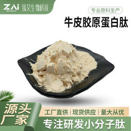 牛皮胶原蛋白肽原料 牛皮小分子胶原蛋白肽  牛皮胶原蛋白肽粉