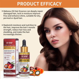 WWP���Q�����{���o�l������호���ë����ϴ�^�l�����̝�����50ml