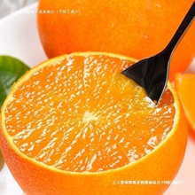 四川爱媛号果冻橙斤手剥橙子新鲜当季孕妇水果桔子整箱大果血橙款