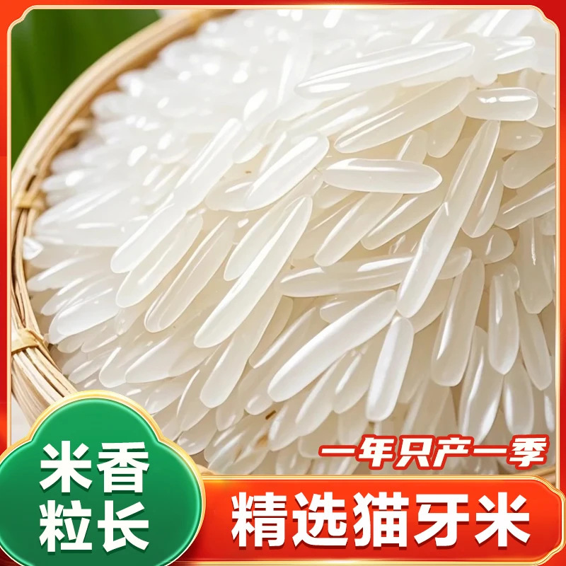 Seasonal Cat Tooth Rice, Freshly Ground New Rice, Long-Grain Fragrant Rice, Silk Rice, Fragrant Rice, Indica Rice, Farm-Grown Rice for Claypot Rice, Wholesale Seasonal Cat Tooth Rice, Freshly Ground New Rice, Long-Grain Fragrant Rice, Silk Rice, Fragrant Rice, Indica Rice, Farm-Grown Rice for Claypot Rice, Wholesale