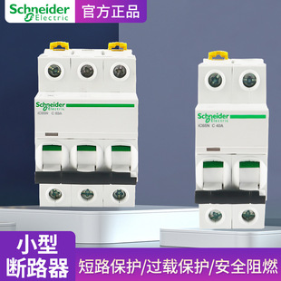 Schneider A9 Series Air Open Household Protection Circuit Breaker 1P/2P/3P/4P63A Total Leakage Air Switch Plug