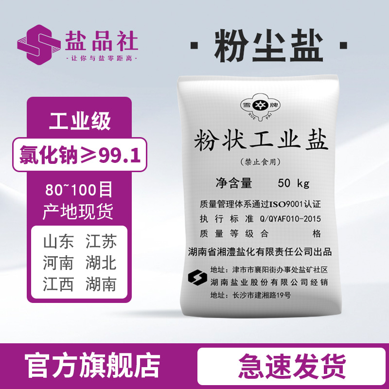 湖南雪牌100目工业级粉尘盐现货供应氯化钠大于99干燥 粉盐