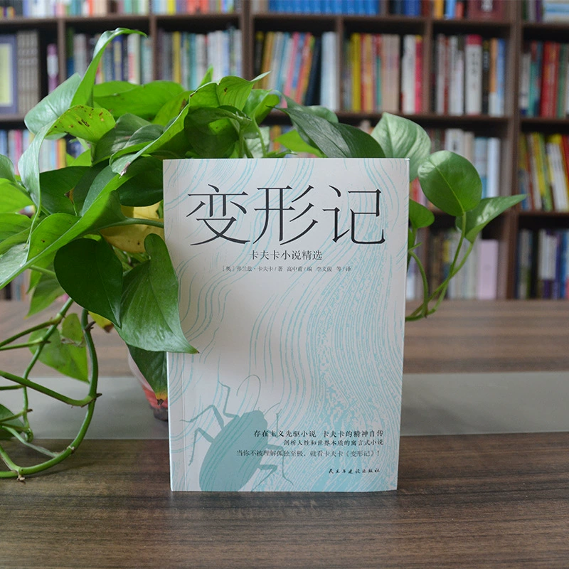 Настоящие книги Метафорация: выбранные романы Кафки зарубежной классики бестселлеры литературы