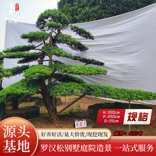 ���̈́e��ͥԺ���^�������_�h�ɾG�����a��Ʒ�����쾰����������